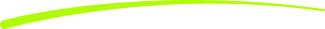 vector 11 stroke